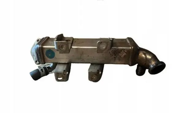 Renault Latitude (L70) EGR valve cooler 8200719993