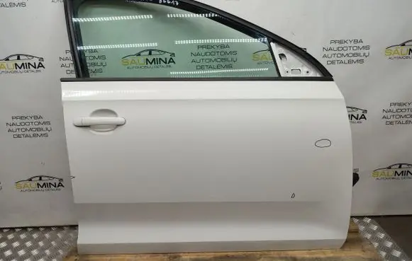 Skoda Rapid (NH) Front door