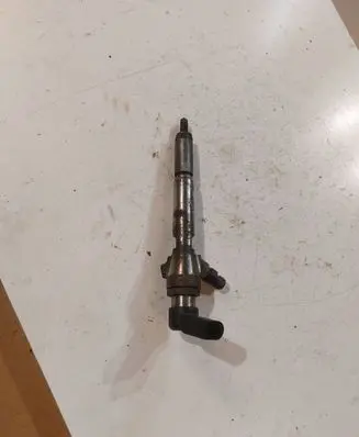 Renault Laguna III Fuel injector 166009445R