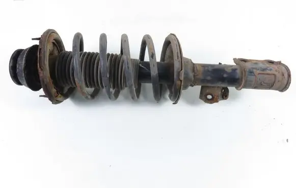 Hyundai i10 Front shock absorber with coil spring 