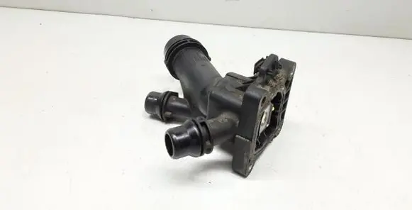 Thermostat/thermostat housing