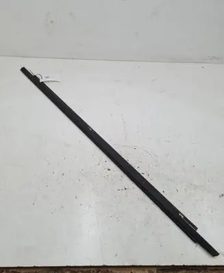 Front door trim (molding)