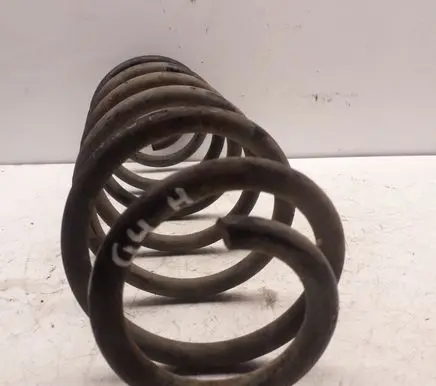 Rear coil spring