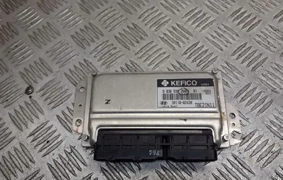Hyundai Getz Engine control unit/module ECU 39110-02420