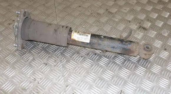BMW X5 E70 Rear shock absorber/damper 6781931