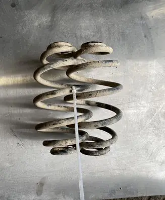 Volkswagen PASSAT B5.5 Rear coil spring