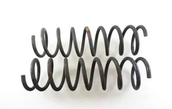Ford Focus Rear coil spring 
