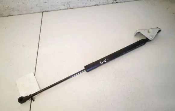 Renault Zoe Tailgate/trunk strut/damper 904502915R