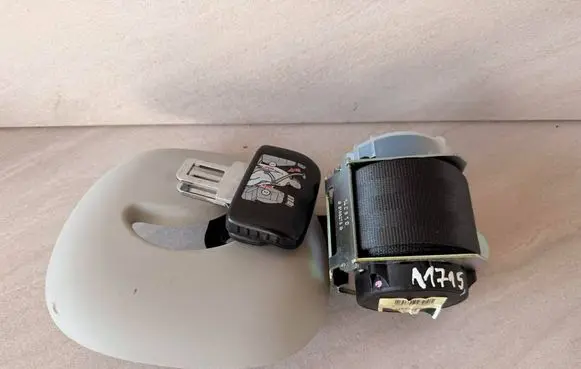 Seat Alhambra (Mk2) Roof seat belt 615534800C 7N0867071