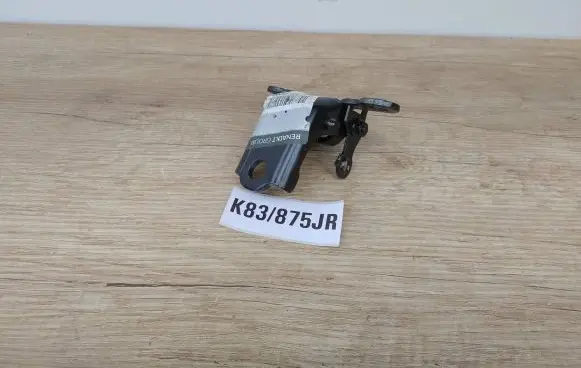 Renault Kadjar Front door upper hinge 804003541R