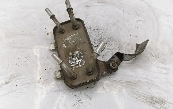 Land Rover Range Rover Sport L320 Fuel cooler (radiator) F8741005 449779