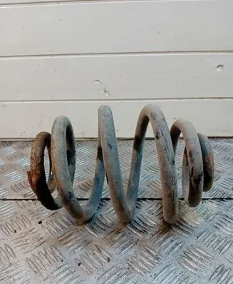 Rear coil spring
