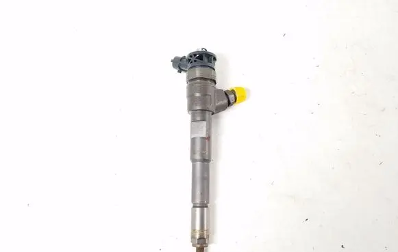 Renault Kangoo II Fuel injector 0445110485