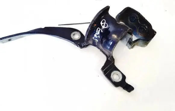 Tailgate/trunk/boot hinge