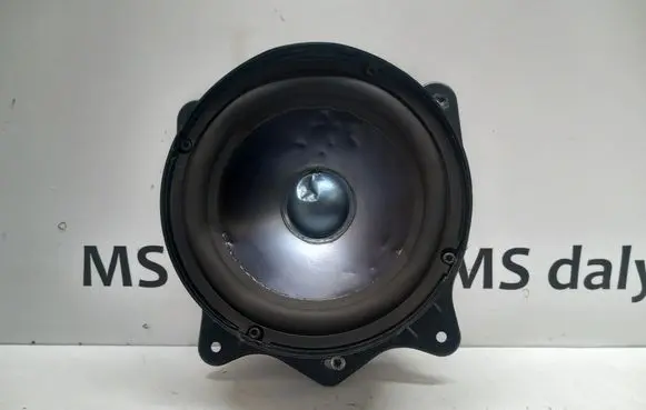 Mercedes-Benz S W221 Rear door speaker A2218203702 2218203702