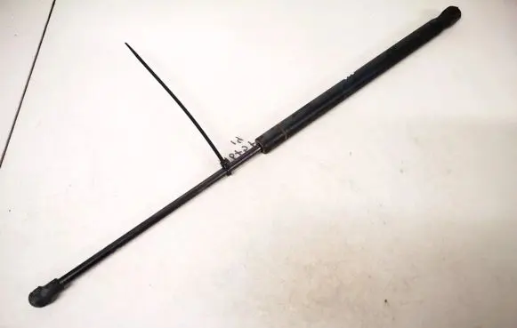 Tailgate/trunk strut/damper