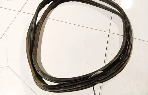 Renault Scenic II - Grand scenic II Rubber seal front coupe door 