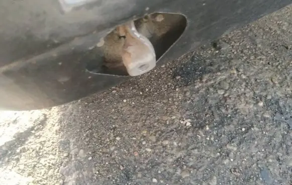Rear door check strap stopper