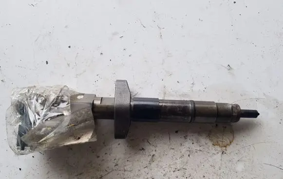 Renault Espace - Grand espace IV Fuel injector 0445110084