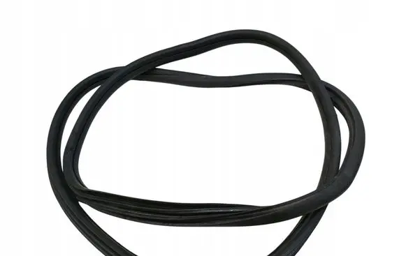 Citroen C4 Cactus Rubber seal front door (on door) 