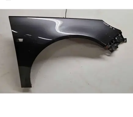 Fender