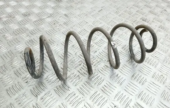 Rear coil spring