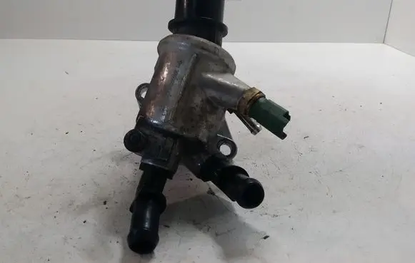 Thermostat/thermostat housing