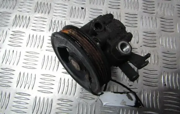 KIA Carnival Power steering pump
