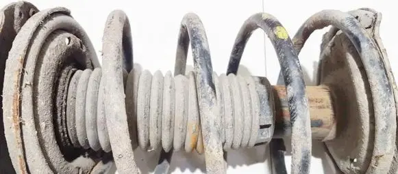 Peugeot 206 Front coil spring