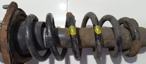 Toyota Avensis T250 Rear coil spring