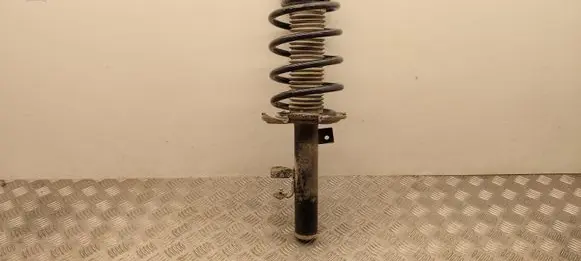 Ford Transit - Tourneo Connect Front shock absorber with coil spring DV6118K001AC