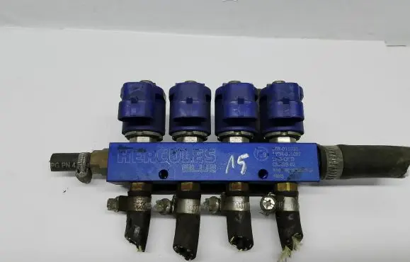 Volkswagen PASSAT B4 LP gas injector 67R011030