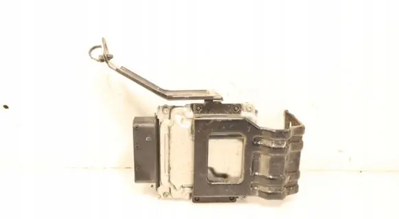 Engine control unit/module ECU