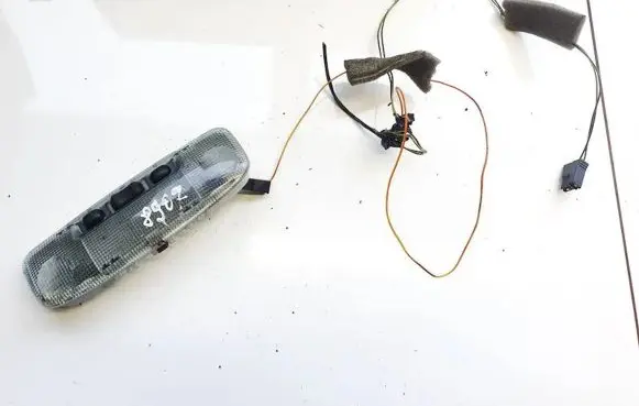 Ford Focus C-MAX Front seat light