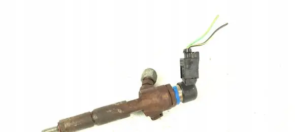 Ford Transit - Tourneo Connect Fuel injector 7T1Q-9F593-AB