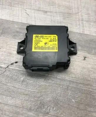 KIA Sorento Other control units/modules 958002P100 10061410 5WK49093