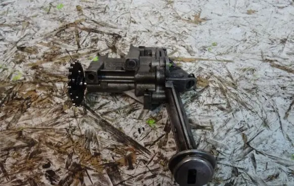 Dacia Dokker Oil pump 8200307174