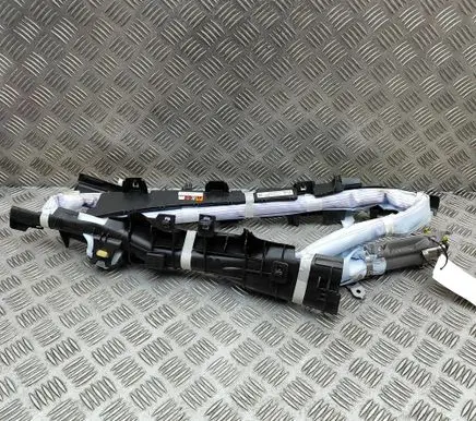 Lexus RX V Roof airbag 6217048160 TG14E04001
