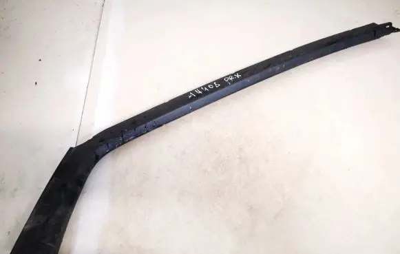 Renault Scenic II - Grand scenic II Front door glass trim molding 8200167196