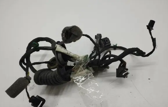 Bentley Flying Spur Front door wiring loom 3W5971121B