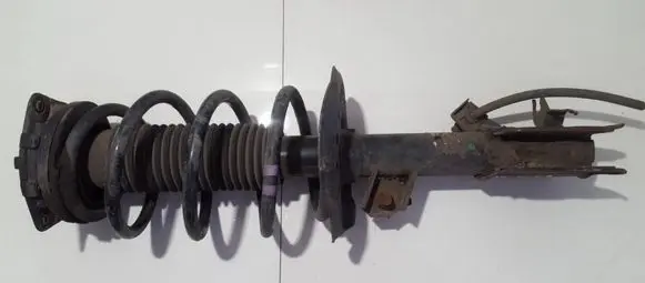 Nissan Qashqai Front shock absorber/damper 54302jd01a 824903002933