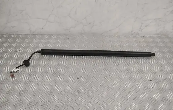 Ford Mach-E I Tailgate strut LJ8BR402A54AD