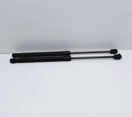 Tailgate/trunk strut/damper