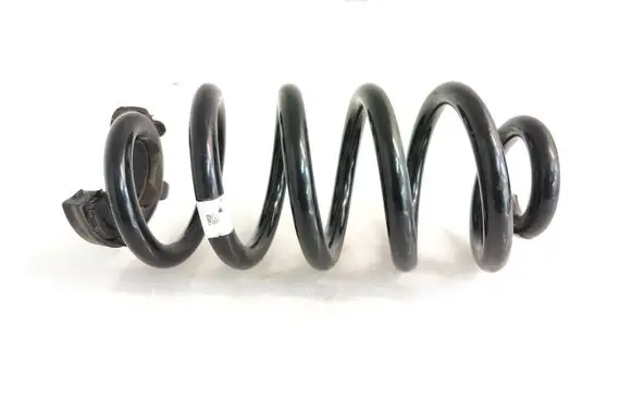 Volkswagen ID.4 Rear coil spring 1EA511103E