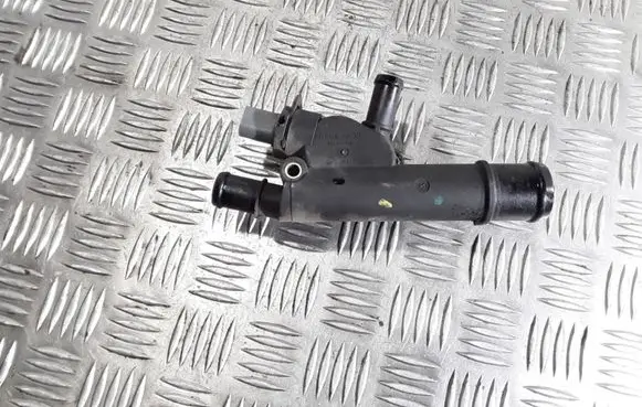 Thermostat/thermostat housing