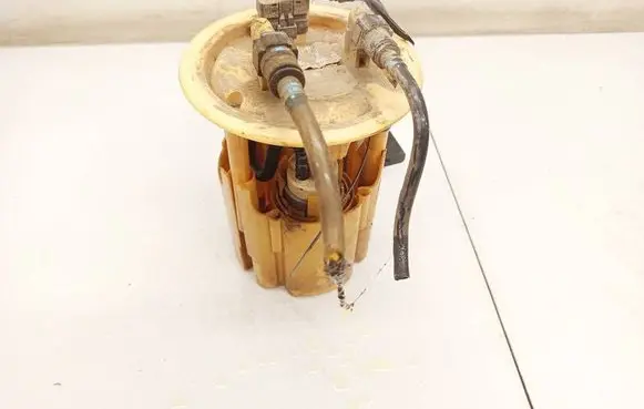 Peugeot 307 In-tank fuel pump 1490373080