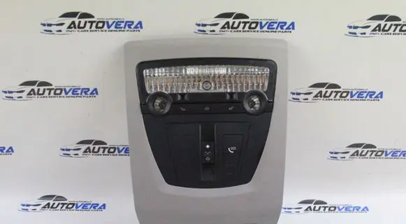 BMW X3 F25 Front seat light 9232055
