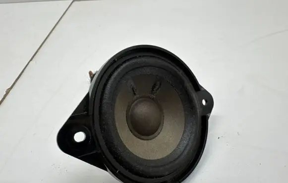 Panel speaker