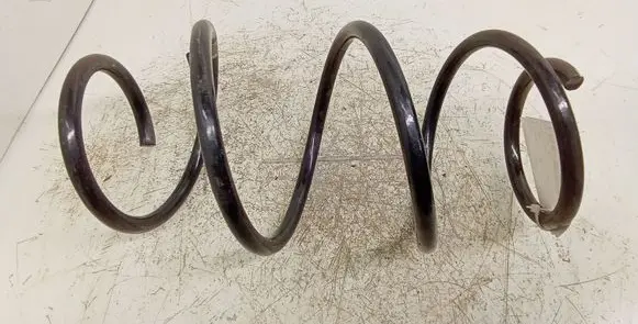 Front coil spring