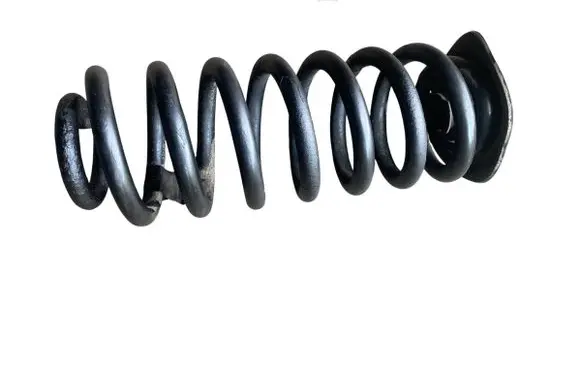 Rear coil spring
